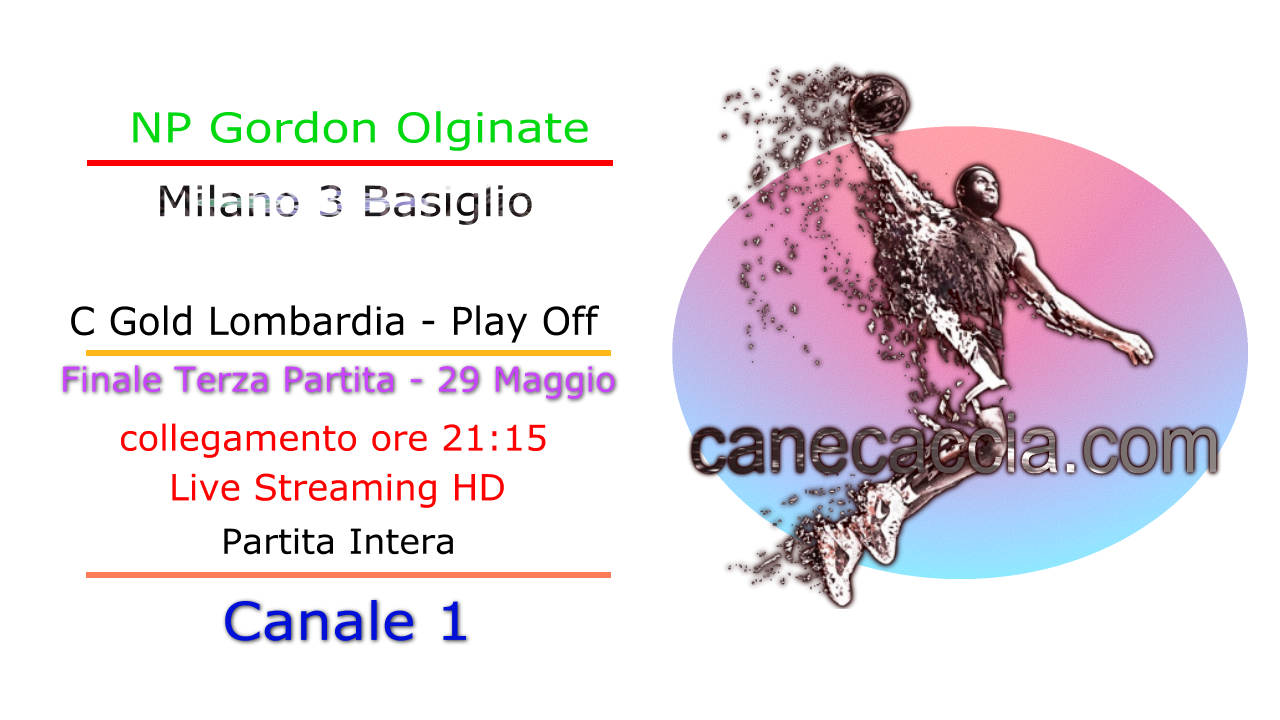C Gold Play Off - Finale - Terza Partita