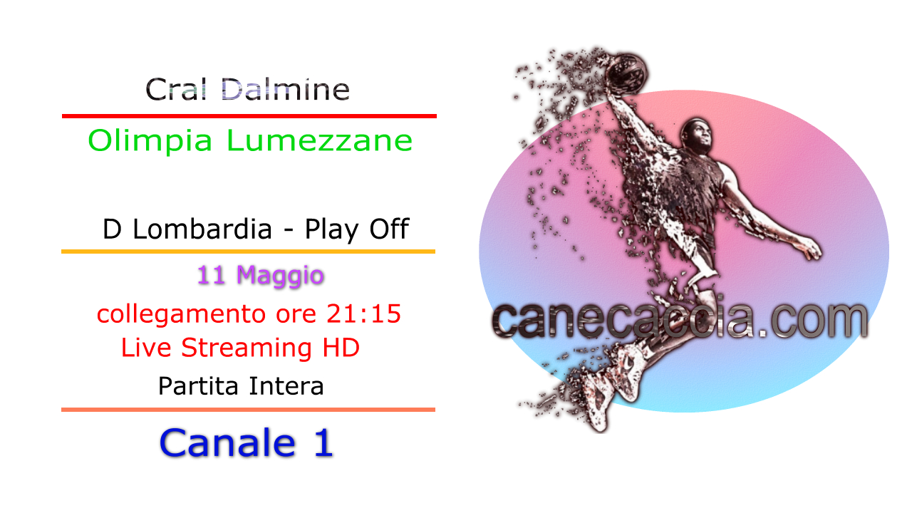 D Lombardia Play Off - Semifinale - Seconda Partita